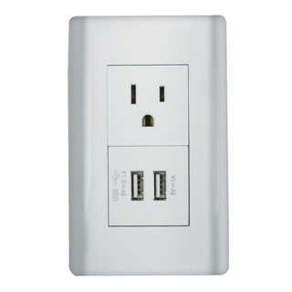 Tomacorriente + USB 2 Serv